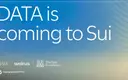 DATA Network joins Sui and Walrus to scale the supply chain for AI training data