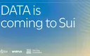 DATA Network joins Sui and Walrus to scale the supply chain for AI training data