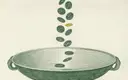 Circle and SC Ventures Back OKX at $25 Billion Valuation