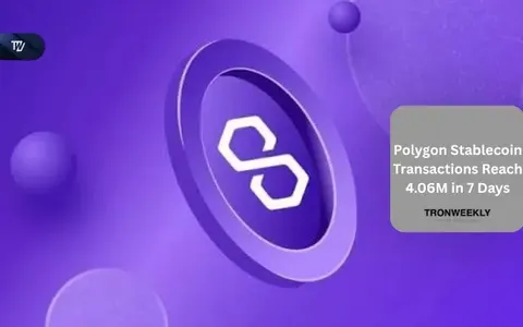 Polygon Stablecoin Transactions Reach 4.06M in 7 Days