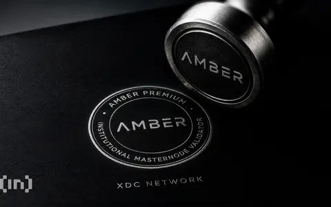 Why Are Financial Firms Becoming Blockchain Validators? Amber Joins XDC